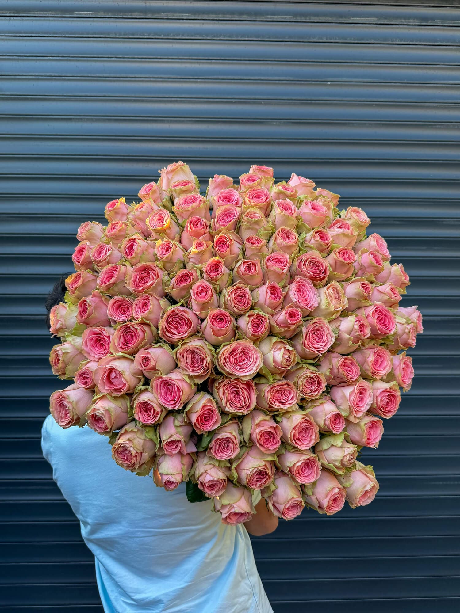 101 Roses Sophie Loren 90cm | Same-Day & 24/7 Delivery - Best selling flower bouquet by Flowers Theory florist in Yerevan